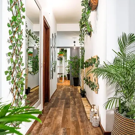 Bed & Breakfast Avenue View